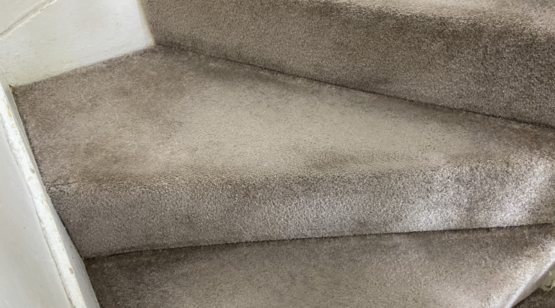 Carpeted stairs